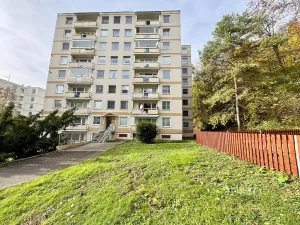 Pronájem bytu 1+kk, Ústí nad Labem, Vinařská, 31 m2