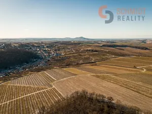 Prodej sadu/vinice, Němčičky, 4556 m2