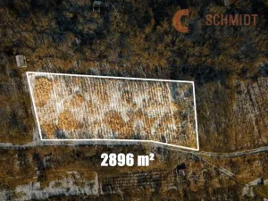 Prodej sadu/vinice, Hustopeče, 2896 m2