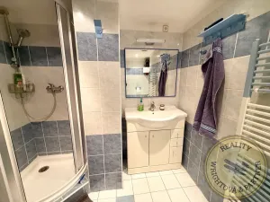 Prodej atypického bytu, Praha - Košíře, Plzeňská, 178 m2