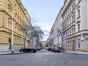 Pronájem bytu 2+1, Praha - Vinohrady, Moravská, 126 m2