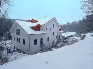 Pronájem bytu 2+kk, Peruc, U Koupaliště, 59 m2