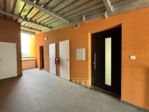 Prodej bytu 2+kk, Teplice, Albrechtova, 70 m2