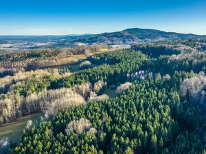 Prodej pozemku pro bydlení, Brloh, 25402 m2