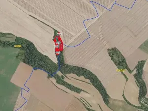 Prodej lesa, Mečeříž, 10300 m2