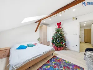 Prodej bytu 1+1, Olomouc, Javoříčská, 54 m2