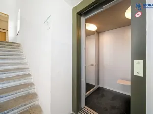 Prodej bytu 1+1, Olomouc, Javoříčská, 54 m2