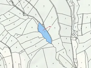 Dražba louky, Jílové u Držkova, 4019 m2