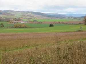 Dražba pole, Mochtín, 38121 m2