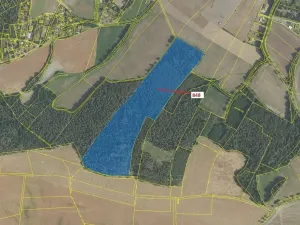 Dražba lesa, Nové Dvory, 81658 m2