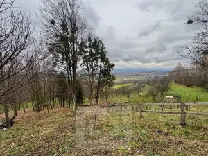 Pronájem bytu 2+kk, Jarcová, 69 m2