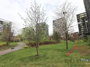 Pronájem bytu 1+kk, Praha - Žižkov, Pitterova, 66 m2