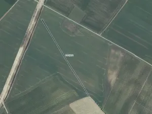 Prodej pole, Mutěnice, 5978 m2