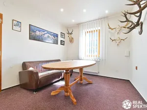 Prodej obchodního prostoru, Cetkovice, Velká Strana, 420 m2