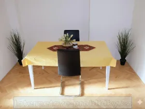 Pronájem pokoje, Praha - Břevnov, Tejnka, 22 m2