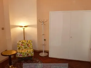 Pronájem pokoje, Praha - Nové Město, Palackého, 42 m2