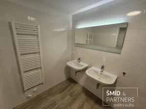 Pronájem rodinného domu, Kolín, Na Vršku, 162 m2