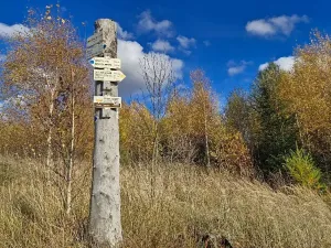 Prodej pozemku, Mezina, 966 m2