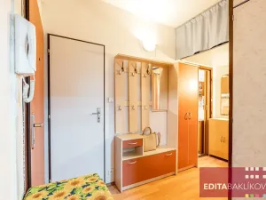 Prodej bytu 2+1, Olomouc, Sienkiewiczova, 52 m2