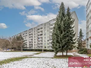 Prodej bytu 2+1, Olomouc, Sienkiewiczova, 52 m2