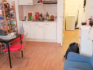 Pronájem bytu 1+kk, Praha - Nusle, Na Vítězné pláni, 26 m2