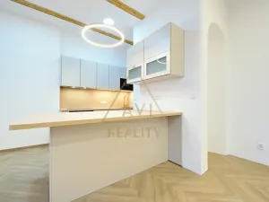 Pronájem bytu 2+kk, Praha - Staré Město, Haštalská, 58 m2