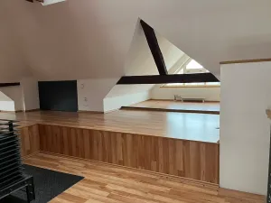 Pronájem bytu 4+kk, Brno, Barvičova, 141 m2