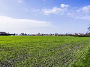 Prodej pozemku pro bydlení, Bříství, 11444 m2