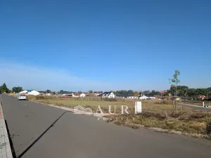 Prodej pozemku pro bydlení, Olešná, 1130 m2