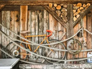 Prodej chalupy, Stařeč, Nádraží, 130 m2