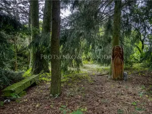 Prodej rodinného domu, Pavlov, 354 m2