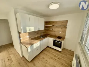 Pronájem bytu 1+1, Písek, Dr. M. Horákové, 44 m2