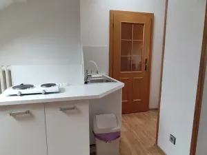 Pronájem bytu 1+kk, Praha - Krč, Moysesova, 40 m2
