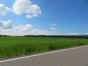 Dražba pole, Niva, 7239 m2