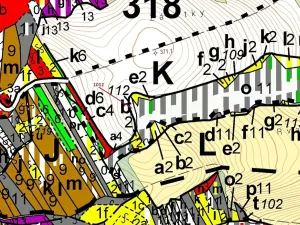Dražba lesa, Spešov, 500 m2