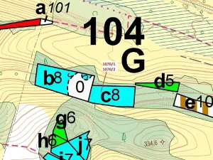 Dražba lesa, Kněžnice, 2271 m2