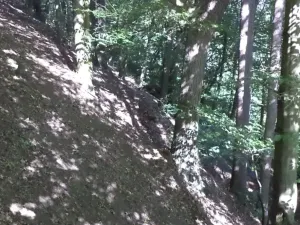 Dražba pozemku pro bydlení, Stará Paka, 1210 m2