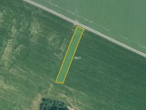 Prodej pole, Kralovice, 14210 m2