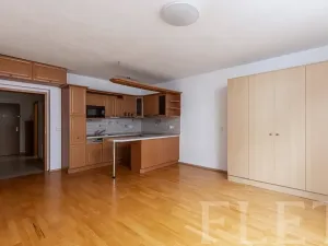 Pronájem bytu 1+kk, Praha - Michle, Jemnická, 39 m2