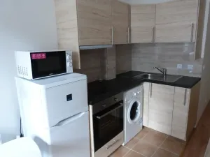 Pronájem bytu 1+kk, Praha - Michle, Čapkova, 20 m2