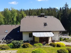 Prodej ubytování, Horní Vltavice, 970 m2