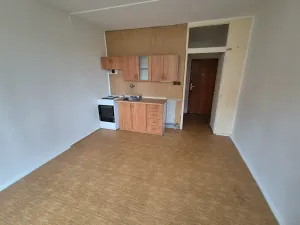 Pronájem bytu 1+kk, Chodov, U Koupaliště, 22 m2