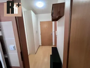 Pronájem bytu 1+kk, Ostrava, Michálkovická, 32 m2