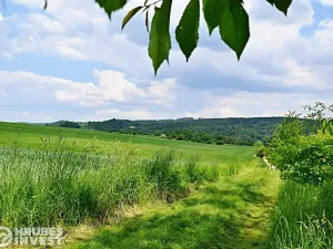Prodej pozemku pro bydlení, Dlouhá Loučka, 1515 m2