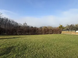 Prodej komerční nemovitosti, Rajnochovice, 3129 m2