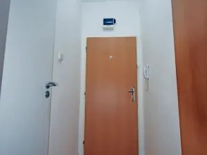 Pronájem bytu 1+kk, Ostrava, Heyrovského, 24 m2