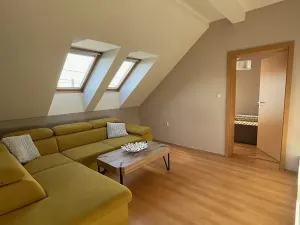 Pronájem bytu 4+kk, Staré Město, Moravní nábřeží, 100 m2