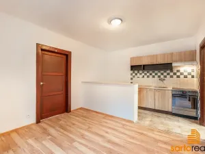 Prodej bytu 1+1, Ústí nad Labem, Na Popluží, 45 m2