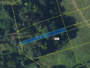 Dražba lesa, Spešov, 316 m2