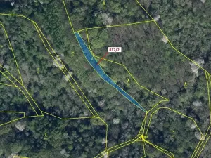 Dražba lesa, Zubrnice, 815 m2